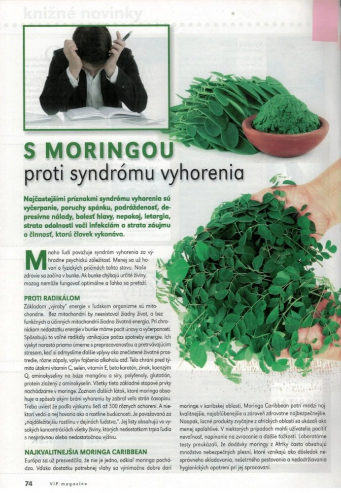 Moderný životný štýl: S moringou proti syndrómu vyhorenia