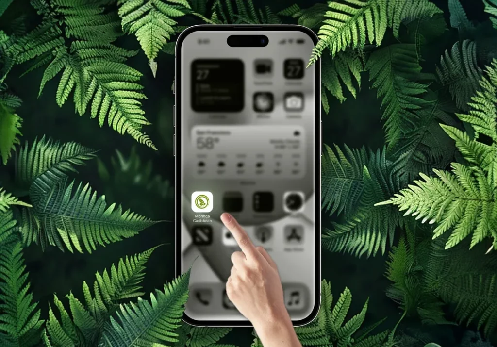 Objavte pohodlie používania PWA aplikácie Moringa Caribbean!