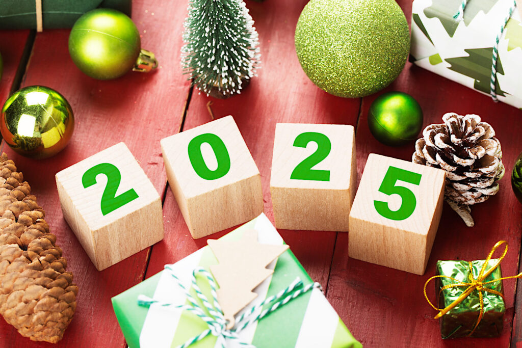 Nový rok 2025 s Moringa Caribbean
